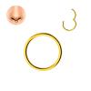 BTAKANPP 16g Nose Ring And Stylish Nose Piercing Jewelry Nose Ring Hoops with Diamonds (Gold, One Size) view 3