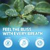 Shower Steamer - 5 Different scents - 14 Tablets per Package (Eucalyptus) view 4