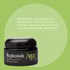 AJA REPLENISH Moisturizer - Natural Hydration and Skin Nourishment (5 Ounce) view 4