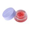 Blondesister Gentle Lip Scrub Daylicious - Lip Moisturizer Hydrates Instantly - Natural, Nourishing Formula with Raspberry Scent - Vegan - 0.1 oz. view 1