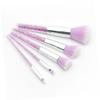 MAGICLULU Makeup Paint Brush Set 5 Pcs Cosmetics Brush Set for Women Powder/Eyebrow/Blending view 4
