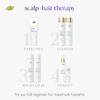 Dove Scalp + Hair Therapy Density Boost 2 FL OZ Scalp Serum + 9.25 FL OZ Strengthening Conditioner for Thicker, Stronger Hair view 4