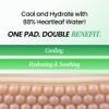 NEOGEN DERMALOGY Real Heartleaf Soothing Daily Pad, Heartleaf Toner Pad/40Pads view 3