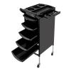 5 Drawers Salon Rolling Trolley Cart, Salon Trolley w/Mobile Wheel Salon Roller Trolley Stand Beauty Instrument Tray Rolling Cart (Black) view 1