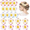 20pcs 2.75 Inch Hawaiian Flower Hair Clips,Hawaii Plumeria Hair Clip Beach Flower Headpieces for Wedding Party (Random) view 1