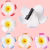 20pcs 2.75 Inch Hawaiian Flower Hair Clips,Hawaii Plumeria Hair Clip Beach Flower Headpieces for Wedding Party (Random) view 3
