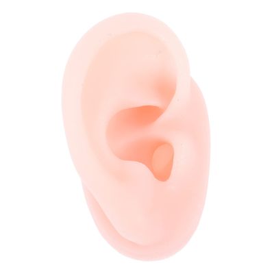 Beaupretty Silicone Human Ear Model for Jewelry Display and Piercing Practice Realistic Fake Ear Tool for Teaching and Demonstration Clinics Jewelry Shops and Acupuncture Centers