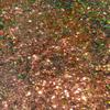 Bolive Beaute Big Steppa | Golden Brown with Green Reflect Duo Chrome Glitter Eyeshadow view 1