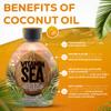 Vitamin Sea Natural Bronzer Tanning Lotion with Coconut Oil, DHA-Free for Sensitive Skin, Streak-Free Bronzing Accelerator 13.5oz - Safe for Indoor Tanning Beds view 4