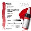 Nuva Colors PMU Lip Pigment, Customizable, Cool Undertone for Lip Blushing & More, Vegan, Made in USA (Sundried Tomato) view 2