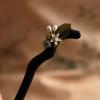 Generic Ebony hairpin flowers green leaf pearl daily Hanfu hair accessories Chinese girls simple wood hairpin cheongsam accessories, Black view 3