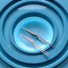 1 Piece Silver Professional Spiral Design Stainless Steel Ear Tweezers Ear Clip Dug Earwax ToolsEar Care view 2