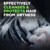 DOVE MEN + CARE Fortifying 2 in 1 Shampoo and Conditioner for Normal to Oily Hair Fresh and Clean with Caffeine Helps Strengthen Thinning Hair 3 oz (Pack of 3) view 4