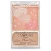 CANMAKE - Glow Fleur Cheeks Blend Type - Moisturizing Plant-Based Silky Smooth Long Lasting Powder - 0.19oz (5.4g) (B03 Lavender Dream) view 1