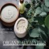 Simply Bovina Handmade Whipped Tallow Balm Moisturizer Cream - Made with 100% Grass-Fed Beef Tallow & Organic Face + Body Skin Care, 100% Natural Lotion (Organic Eucalyptus) view 3