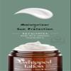 Simply Bovina Handmade Whipped Tallow Balm Moisturizer Cream - Made with 100% Grass-Fed Beef Tallow & Organic Face + Body Skin Care, 100% Natural Lotion (Organic Eucalyptus) view 4
