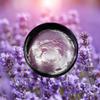 Amber & Lavender Whipped Shea Sugar Scrub with Cocoa Butter Black Amber & Lavender Type | 4 oz view 4