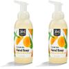 365 by Whole Foods Market, Hand Soap Foaming Satsuma Eucalyptus, 12 Fl Oz (Pack of 2) view 1