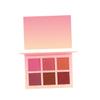 TOVINANNA Cheek Blush Natural Blush Makeup Kit for Women Girls Soft and Pigmented 6 Colors Palette view 1