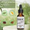 Beard Growth Oil for Men - Beard Conditioner Oil Rich in JOJOBA Oil & Sweet Almond Oil Multiple Natural Extracts - Beard Softener and Care-Strengthens & Moisturizes Beard (1 Fl Oz, Glamour Movement) view 2