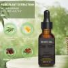 Beard Growth Oil for Men - Beard Conditioner Oil Rich in JOJOBA Oil & Sweet Almond Oil Multiple Natural Extracts - Beard Softener and Care-Strengthens & Moisturizes Beard (1 Fl Oz, Green Tea) view 2
