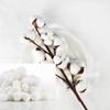 AmeriCan Goods 2000 Bulk Pack Cotton Balls Medium Size, Premium Quality 100% Pure Cottons Non-Sterile Dental Cotton Balls, Maximum Absorbency view 4
