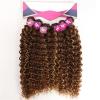 Kinky Curly Synthetic Hair 6 Bundles With 1Closure 7Pcs/Lot Ombre Color 16-20 Inch Kinky Curly Bundles Hair Extension T27-613 16 18 20 Inch view 3