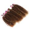 Kinky Curly Synthetic Hair 6 Bundles With 1Closure 7Pcs/Lot Ombre Color 16-20 Inch Kinky Curly Bundles Hair Extension T27-613 16 18 20 Inch view 4