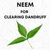 Bio Mystery Neem Leaf Powder | Azadirachta Indica for Face, Skin & Hair care 100Gm / 3.5 Oz view 3