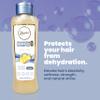 ANYELUZ Dry Hair Shampoo and Conditioner Duo, Enhances Hair Elasticity Softness Strength and Natural Shine, Enhances Hair Condition, Moisturized Hair view 2
