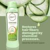ANYELUZ Dry Hair Shampoo and Conditioner Duo, Enhances Hair Elasticity Softness Strength and Natural Shine, Enhances Hair Condition, Moisturized Hair view 3