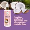 Anyeluz Aloe Vera Conditioner + Coconut Hair Styling Cream, Enhances Hair Condition, Leaving it Silky Revitalized and Easy to Comb, For All Hair Types view 3