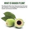 Kakadu C Dark Spot Serum - Vitamin C Serum for Brighter, Clearer Skin | Korean Skincare for Face with Kakadu Plum, Vitamin C, Purslane Extract (50ml/1.69 fl. oz) view 3