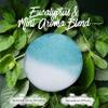 EvolutionUSA Inspire Breathe Shower Steamers, 15 Mint & Eucalyptus Shower Steamers for Women & Men, Refreshing Vapor Shower Tablets, Self Care Shower Bombs, Gift for Mother's Day, Easter, Birthday view 3