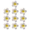 10-Pack Hawaiian Flower Hair Clip Plumeria Foam Hair Accessories For Women Girls Wedding Party Decorations Hawaiian view 1