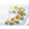 10-Pack Hawaiian Flower Hair Clip Plumeria Foam Hair Accessories For Women Girls Wedding Party Decorations Hawaiian view 4