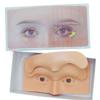 5D Silicone Replaceable Eyebrow Tattoo Practice Skin Reusable Eye Brow Practice Training Mannequin Board Kit with 2pcs Practice Pads Micro Dpray Plastic Eyebrow Fake Skin On Eyebrows view 1