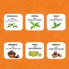 Bio Mystery Herbal Hair Care Combo Pack | Hair Mask | Amla, Shikakai, Indigo, Bhringraj, Neem Leaf, Henna | DIY Powders for Hair Growth view 2