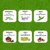 Bio Mystery Herbal Hair Care Combo Pack | Hair Mask | Amla, Shikakai, Reetha, Indigo, Bhringraj, Neem Leaf, Henna | DIY Powders for Hair Growth (Mix Powder) view 2