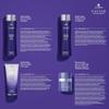 Alterna Haircare CAVIAR Anti-Aging Replenishing Moisture Trial Kit - Shampoo, Conditioner, Leave-In CC Cream | For Dry, Brittle Hair | Protects, Restores and Hydrates | Sulfate Free view 2
