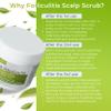 Anti Fungal Folliculitis Scalp Scrub Pre Shampoo for Seborrheic Dermatitis, Dandruff, Psoriasis, and Itchy Dry Scalp Relief view 4