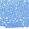2880 Pieces SS6 Lt. Sapphire Hotfix Rhinestones Flatback Round Crystal Glass Rhinestones Gems for Crafts Nail Face Art Clothes Shoes Bags DIY view 1