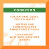 Cantu Coil Calm Detangler with Shea Butter for Natural Hair 8 oz & Extra Hold Edge Stay Gel with Shea Butter 2.25 oz Bundle view 4