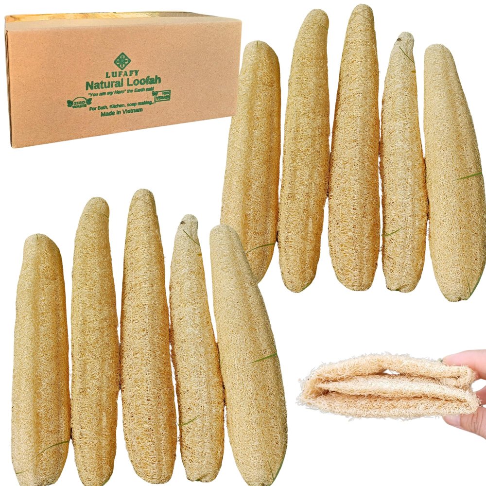 10 Pcs (7  10 Inches) Natural Loofah Sponge | Organic Loofah | Shower Loofah Exfoliating Body Scrubber | Bath for Loofah for Men and Women | (10 - Pack)