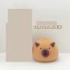 HANLIMAN Scrubber Bath Sponge,Sponges for Gentle Face Cleansing and Exfoliation,Ultra Soft Mesh Bath Sponges for Adults Exfoliating, Scrubbing and Cleaning,Body Scrubbers for Use in Shower view 2