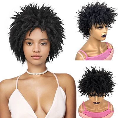 VAVANGA Short Afro Kinky Wigs for Women, 6inch Natural Crochet Braided Wig Synthetic Hair Afro Puff Twist Braids Wigs Dreadlocks Twisted Braiding Wig for Black Women(6", Black)