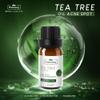 concentrated tea tree oil for acne spots view 4
