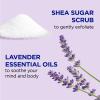 Dr Teal's Shea Sugar Scrub, Lavender Essential Oils, 19 oz (Pack of 3) view 2