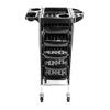 Salon Trolley Cart on Wheels,Beauty Salon Rolling Trolley Cart with for Hairdresser,Hair Cart Storage Organizer, Salon Stations for Hair Stylist, Rolling Cart with Wheels 14.17"L x 11.81"W x 35.43"H view 1