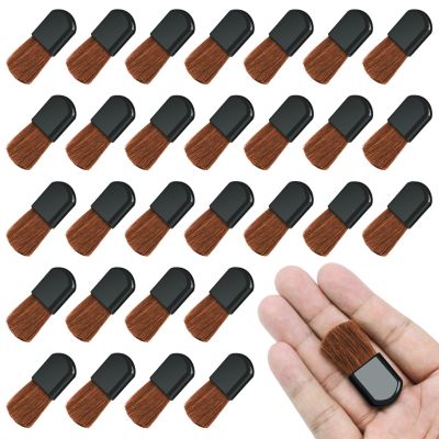 Rimoev 30 PCS Disposable Makeup Brushes, Small Blush Brush for Cheeks, Portable Mini Makeup Brushes, Foundation Applicator Beauty Tool for Mixing Liquid, Cream, Loose Powder or Powder Cosmetics